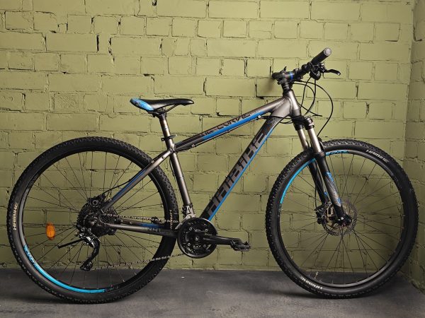 Haibike Big Curve 9.50 M 29