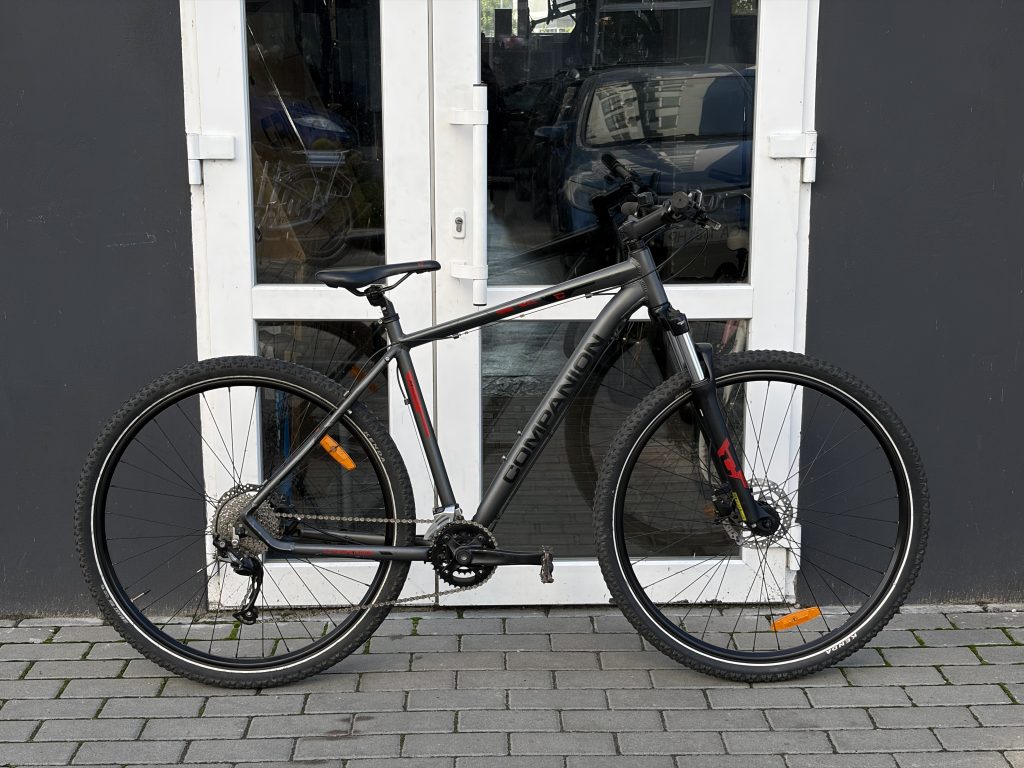 Companion 29 L